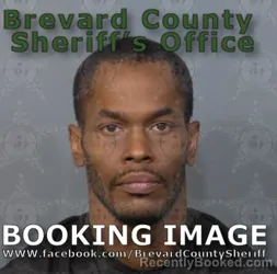 Mugshot of CHEYNE ELLISON BROWN booked in Brevard County, Florida on May 7, 2026