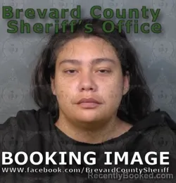 Mugshot of JORDAN ELISE CULP booked in Brevard County, Florida on May 7, 2026