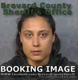 Mugshot of ERIKA K LYNN RAMSEY booked in Brevard County, Florida on May 7, 2026
