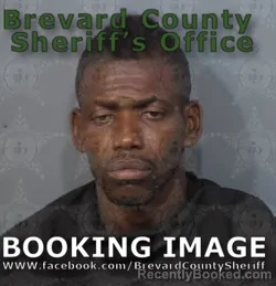 Mugshot of Damion Anthony Hamilton booked in Brevard County, Florida on May 8, 2026