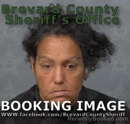 Mugshot of CRYSTAL LYNN OTEY booked in Brevard County, Florida on May 9, 2026