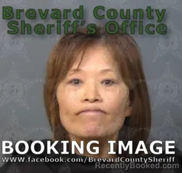 Mugshot of JINGJI JIN booked in Brevard County, Florida on May 11, 2026