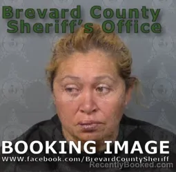 Mugshot of EVELIN CLAUDIA PALACIOS MENCOS booked in Brevard County, Florida on May 11, 2026