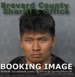 Mugshot of LUIS ANGEL GOMEZ LOPEZ booked in Brevard County, Florida on May 11, 2026