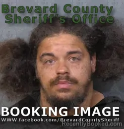 Mugshot of David William Turvey booked in Brevard County, Florida on May 12, 2026
