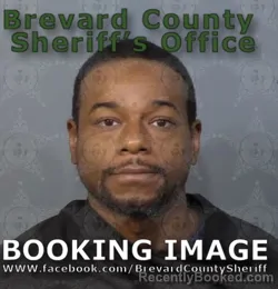 Mugshot of DARIUS TAYLOR WHITE booked in Brevard County, Florida on May 14, 2026