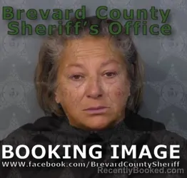 Mugshot of MICKI LYNN BRIA booked in Brevard County, Florida on May 15, 2026
