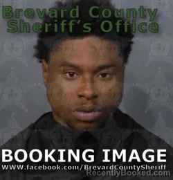 Mugshot of DAMARRIUS SHERROD MITCHELL booked in Brevard County, Florida on May 15, 2026
