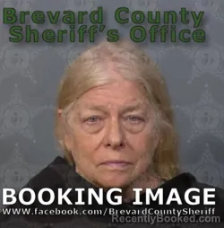 Mugshot of BRENDA JEANNE WILLIAMS booked in Brevard County, Florida on May 15, 2026