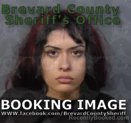 Mugshot of ANASTASIA CLEMENTE HAYES booked in Brevard County, Florida on May 16, 2026