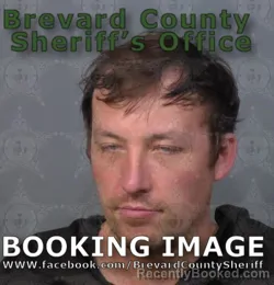 Mugshot of Alexander Grisham Anderson booked in Brevard County, Florida on May 16, 2026
