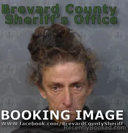 Mugshot of Dena Fitzgerald McHale booked in Brevard County, Florida on May 16, 2026