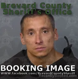 Mugshot of THOMAS DANIEL TEMPLETON booked in Brevard County, Florida on May 16, 2026