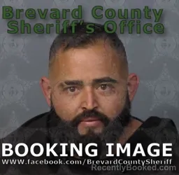 Mugshot of MICHAEL FORTE booked in Brevard County, Florida on May 17, 2026