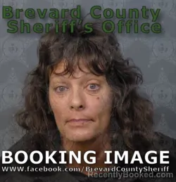 Mugshot of TAWNYA KAY ALLENDER booked in Brevard County, Florida on May 17, 2026