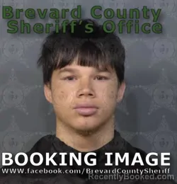 Mugshot of TYLER ANDREW VAZQUEZ booked in Brevard County, Florida on May 17, 2026