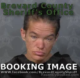 Mugshot of Tracy Elizabeth Goodwin booked in Brevard County, Florida on May 17, 2026