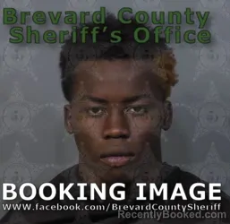 Booking photo from Brevard County, Florida