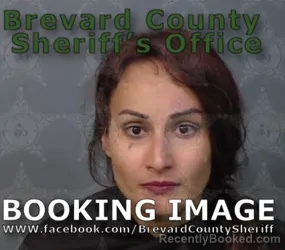 Booking photo from Brevard County, Florida
