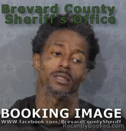 Mugshot of TRACY JEROME BOOTHER booked in Brevard County, Florida on June 11, 2026