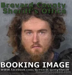 Mugshot of DYLLAN MICHALE MATTHEWS booked in Brevard County, Florida on June 11, 2026