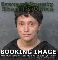 Mugshot of KYLEY ROSE WARD booked in Brevard County, Florida on June 13, 2026