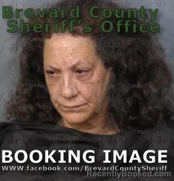 Mugshot of DANY NICOLE DAVIS booked in Brevard County, Florida on June 13, 2026