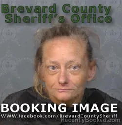 Mugshot of Patricia A Goodwin booked in Brevard County, Florida on June 13, 2026