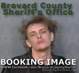 Mugshot of DOMINIC STEVEN ANDREWS booked in Brevard County, Florida on June 13, 2026