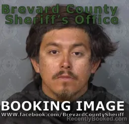 Mugshot of LUIS FERNANDO CERECERO booked in Brevard County, Florida on June 14, 2026