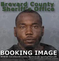 Mugshot of AKEEM CARLTON AMBROSE booked in Brevard County, Florida on June 14, 2026