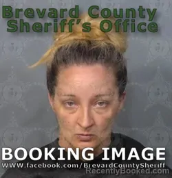 Mugshot of Jesse Renae Bergstrom booked in Brevard County, Florida on June 14, 2026