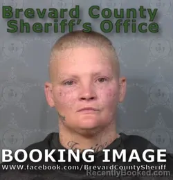 Booking photo from Brevard County, Florida