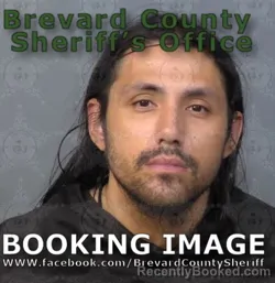 Mugshot of TAJE JAMES CLEMENS booked in Brevard County, Florida on June 15, 2026