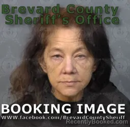 Mugshot of Suzanne Michelle Echols booked in Brevard County, Florida on June 15, 2026