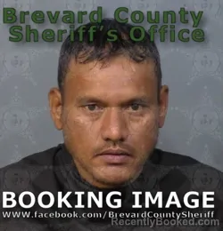 Mugshot of JOEY AISEIA booked in Brevard County, Florida on June 15, 2026