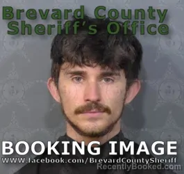 Mugshot of SAGE ISAAC NOREIKA booked in Brevard County, Florida on June 16, 2026