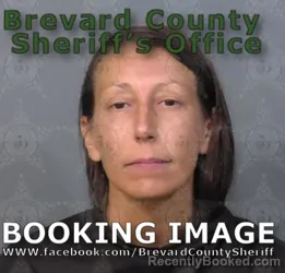Mugshot of AMBER MICHELLE GANEY booked in Brevard County, Florida on June 17, 2026