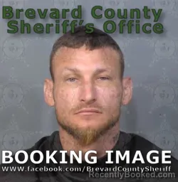 Mugshot of SANTO ALONZO PERCIVAL booked in Brevard County, Florida on June 17, 2026