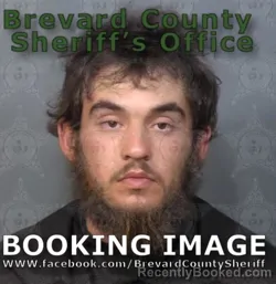 Mugshot of WYATTE PAUL GAINES MILLER booked in Brevard County, Florida on June 20, 2026