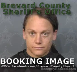 Mugshot of MELISSA MARIE FINK booked in Brevard County, Florida on June 20, 2026