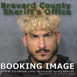 Mugshot of LIOSBEL HERMELO HERNANDEZ booked in Brevard County, Florida on June 20, 2026