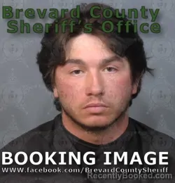 Mugshot of ANTHONY HANK PHELPS booked in Brevard County, Florida on June 20, 2026