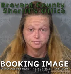 Mugshot of AMANDA SHAWN ANDERSON booked in Brevard County, Florida on June 20, 2026