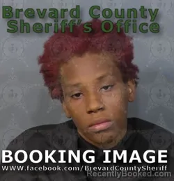 Mugshot of DESTINY CHEYENNE BRIMMER booked in Brevard County, Florida on June 21, 2026