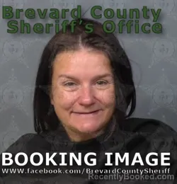 Mugshot of DAWN E MCNALLY booked in Brevard County, Florida on June 21, 2026