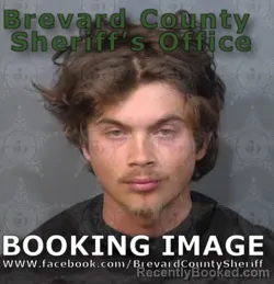 Mugshot of Tyler Nevaeh Jarrell booked in Brevard County, Florida on June 21, 2026