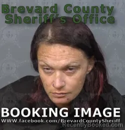 Mugshot of Carolyn Ann Daly booked in Brevard County, Florida on June 22, 2026