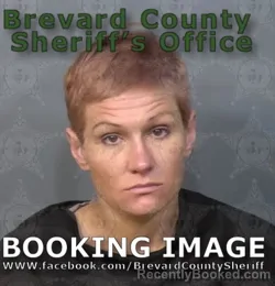 Mugshot of DENA RAE ANDERSON booked in Brevard County, Florida on June 23, 2026