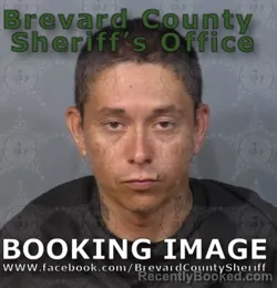 Mugshot of David Napoleon Pace booked in Brevard County, Florida on June 23, 2026